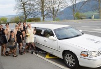 009931-freizeit-limousine